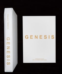 « Genesis »: plus de 450 pages sur les œuvres, la vie et les techniques de l'artiste. Le Livre d'Art Contemporain a été écrit et publié par le même artiste, peintre et sculpteur.